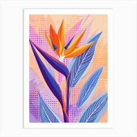 Bird Of Paradise 57 Art Print