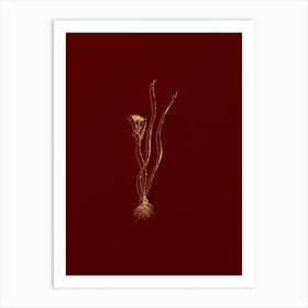 Vintage Ornithogalum Spathaceum Botanical in Gold on Red n.0237 Art Print