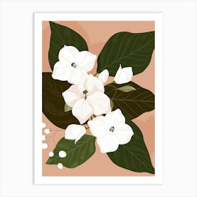 White Flowers On A Peach Background Art Print