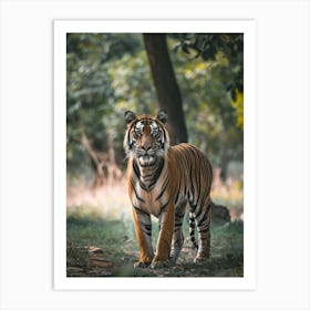 Tiger In The Forest Art Print