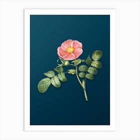 Vintage Japanese Rose Botanical Art on Teal Blue n.0800 Art Print