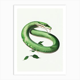 Rough Green Snake Vintage Art Print