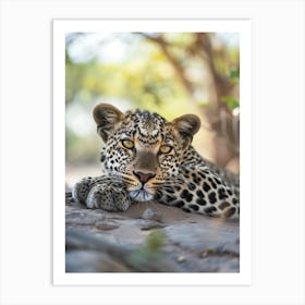 Leopard Art Print