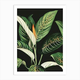 Tropical Leaves Canvas Print Art Print