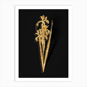 Vintage Blue Iris Botanical in Gold on Black Art Print