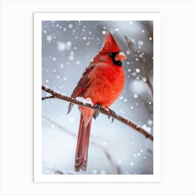 Cardinal Bird Perched On A Frost Covered Branch Vibrant Red Plumage Contrasting Against A Soft Gray Art Print