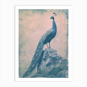 Vintage Turquoise Peacock On A Rock Photography Style 2 Art Print