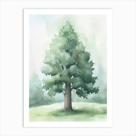 Sequoia Tree Atmospheric Watercolour Painting 1 Art Print