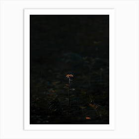 Single Flower In The Dark 93 Art Print