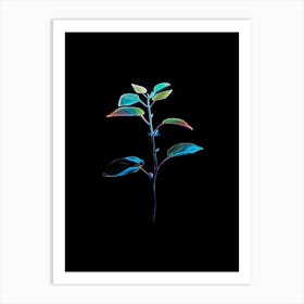 Plant On A Black Background 5 Art Print