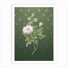 Vintage Ventenat's Rose Botanical on Lunar Green Pattern n.1040 Art Print