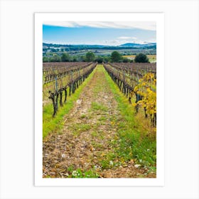Vineyards In The Autumn 20211128 175ppub Art Print