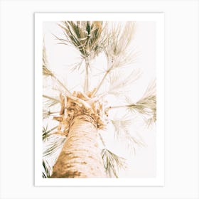 Palm Tree Sunshine Art Print