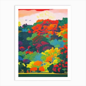 Yala National Park Sri Lanka Abstract Colourful Art Print