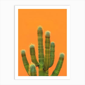 Cactus on Orange Art Print