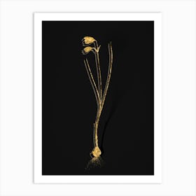 Vintage Snowbell Botanical in Gold on Black n.0315 Art Print