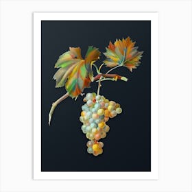 Vintage Grape Vine Botanical Watercolor Illustration on Dark Teal Blue n.0548 Art Print