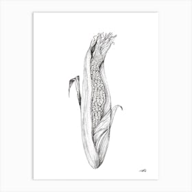 Open Corn on the Cob Art Print