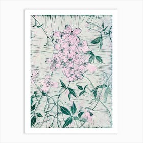 Clematis Montana Art Print