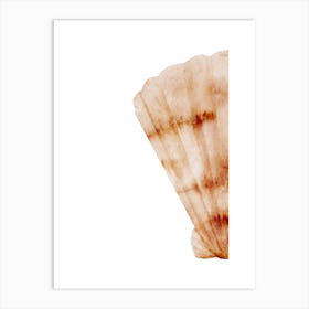 Colored seashells. Seashells. Summer.6 Art Print