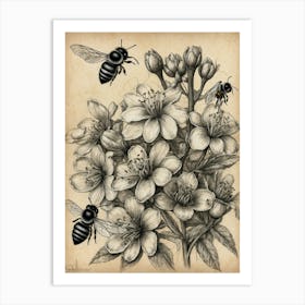 Bees And Blossoms Art Print