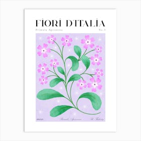 Italian Flora: Primula Apennina / Alpine Primrose Art Print