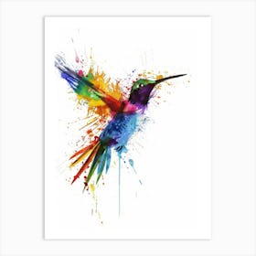 Colorful Hummingbird Art Print