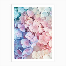 Hydrangeas 2 Art Print