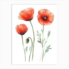 Watercolor Poppies Art Print