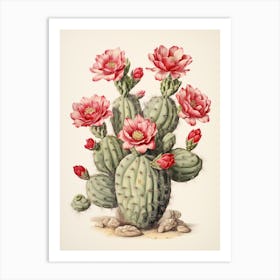 Vintage Cactus Illustration Crown Of Thorns Cactus 1 Art Print
