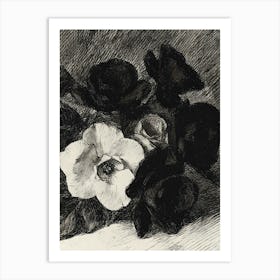 Black And White Roses 2 Art Print