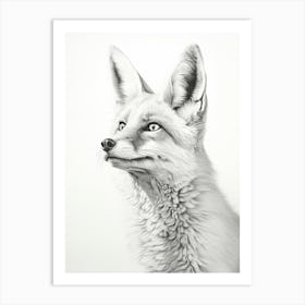 Bengal Fox Portrait Pencil Drawing 7 Art Print