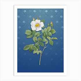 Vintage Twin Flowered White Rose Botanical on Bahama Blue Pattern n.0804 Art Print
