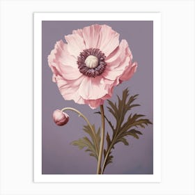 Floral Illustration Anemone 3 Art Print