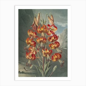 Lily Of The Valley 27 Art Print