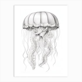 Lions Mane Jellyfish Drawing1 Art Print