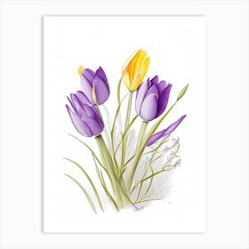 Crocus Floral Quentin Blake Inspired Illustration 2 Flower Art Print