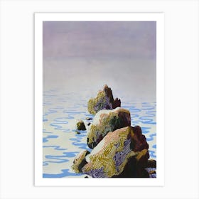 'Rocks In The Water' Art Print