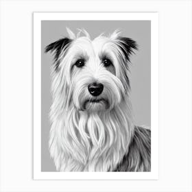 Skye Terrier B&W Pencil Dog Art Print