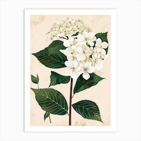 Hydrangea 6 Art Print