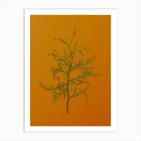 Vintage Sictus Tree Botanical on Sunset Orange n.0171 Art Print