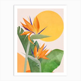 Bird Of Paradise 3 Art Print