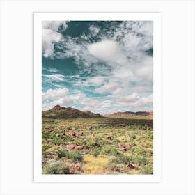 The Sonoran Desert Has No End In Sight Art Print