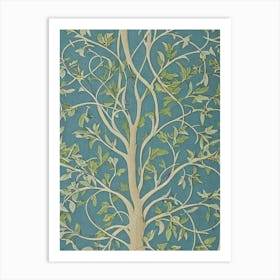 Quercus Garryana 2 tree Vintage Botanical Art Print