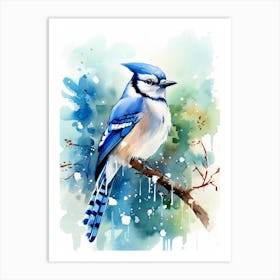 Snowy Blue Jay 1 Art Print