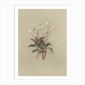 Tulip Flower Art Print