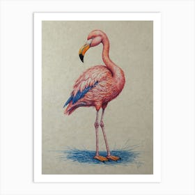 Flamingo 29 Art Print