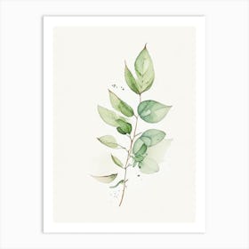 Oregano Leaf Minimalist Watercolour 1 Art Print