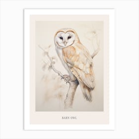 Vintage Bird Drawing Barn Owl 3 Poster Art Print