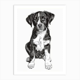 Entlebucher Mountain Dog Line Sketch 3 Art Print